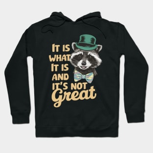 It Is What It Is And It's Not Great. Funny Raccoon Hoodie